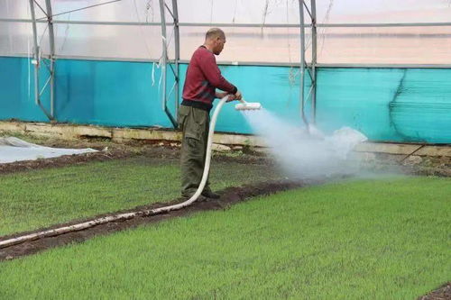 兴安盟岭南香 以责任汇聚诚信力量，守护农产品品质之源