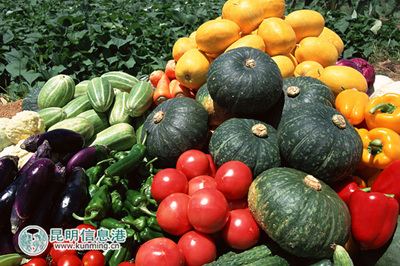 元谋新篇 以特色产业为翼，打造绿色经济强县