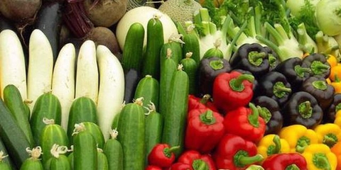 安康230家龙头企业全面复工，保障鲜活农产品稳定生产与供应