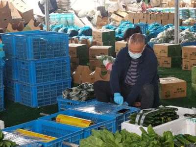 守护“菜篮子”与“菜园子” 疫情期间农产品稳产保供的实践与探索