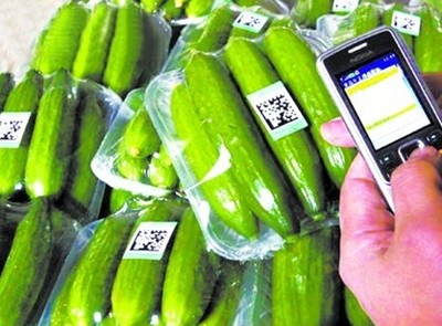 探索“扫码观菜、冷链出菜”新模式 让农产品更安全直达餐桌