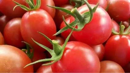 销售模式单一成农产品上行大忌