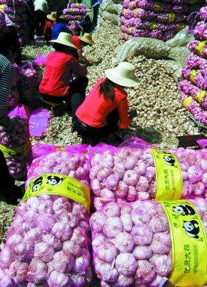 发改委成立市场价格监管处，通胀预期下重拳出击农产品市场